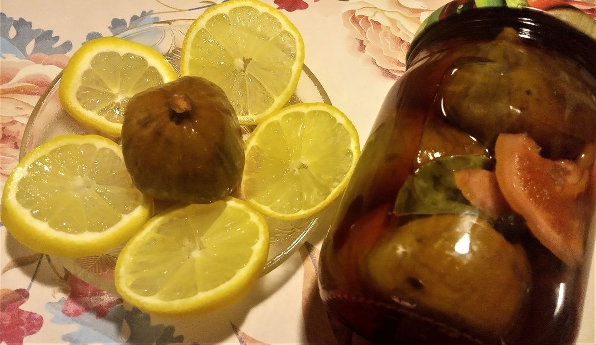 ������������ �����: ����������� ��������� � ������ ���������