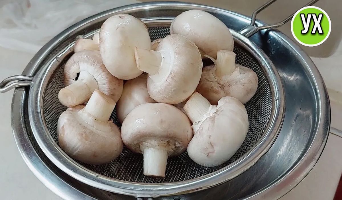 �����: ����� �� ����� � ���� ����������� ��������