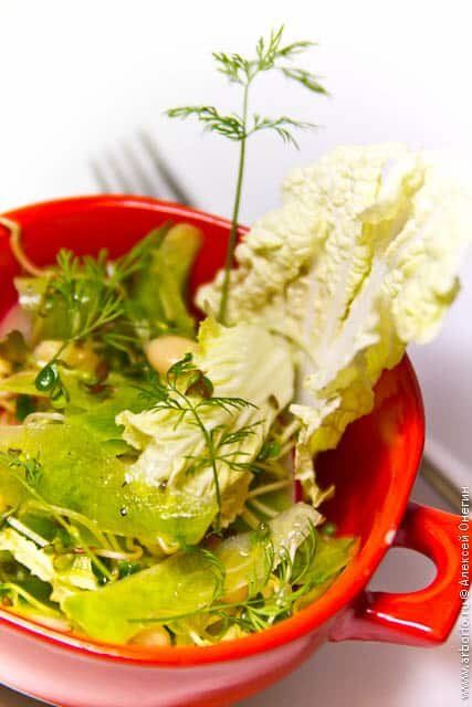 ��� ��������: ����� �� ������