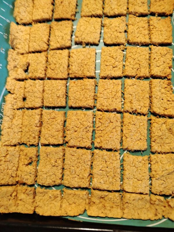 ����� �� ����: ����� ������ �� �������