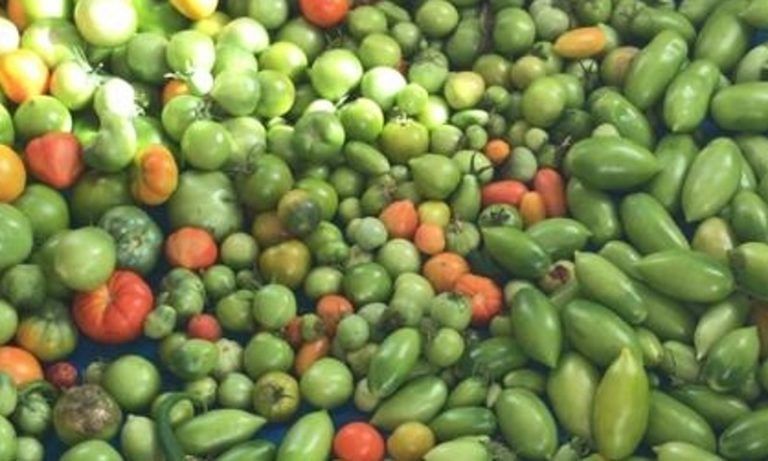 ������ ����� 2026: ����� �������� ��� ������ �������