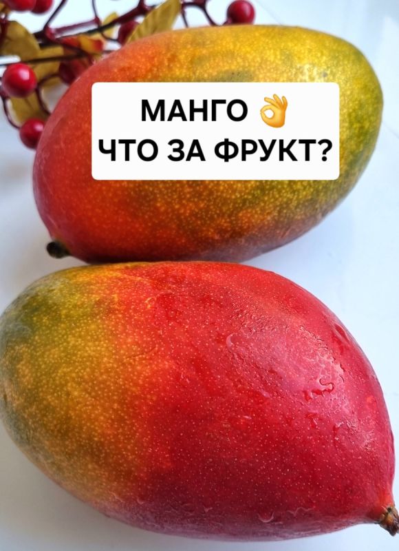 �����: ������� ���� � �������� � ������������