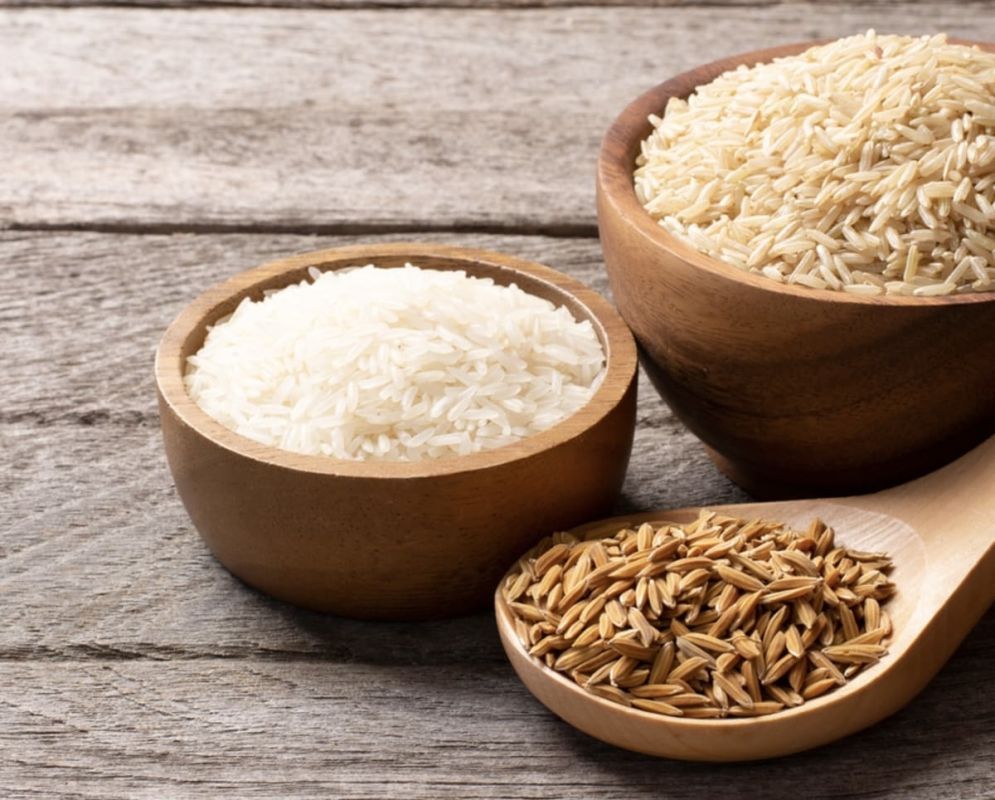 � ����� ���� �����: ������ ������ � ����� ����� ����� � ����� �����