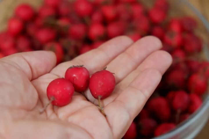 � �������� �������: ��� � �������� ��������� ���������� � ��� ���������� �������������