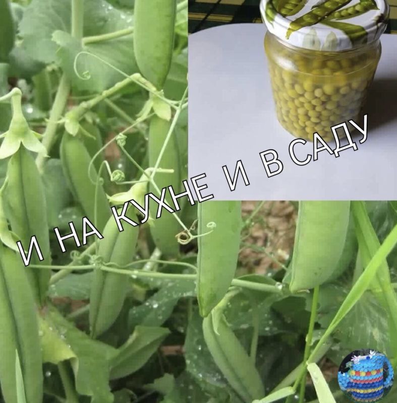 ��� ������������� ���������������� ������ �������: ������� ������ ��� ������