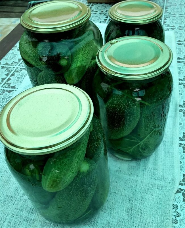 ������� ������� ������ �� ����: ������������ ������