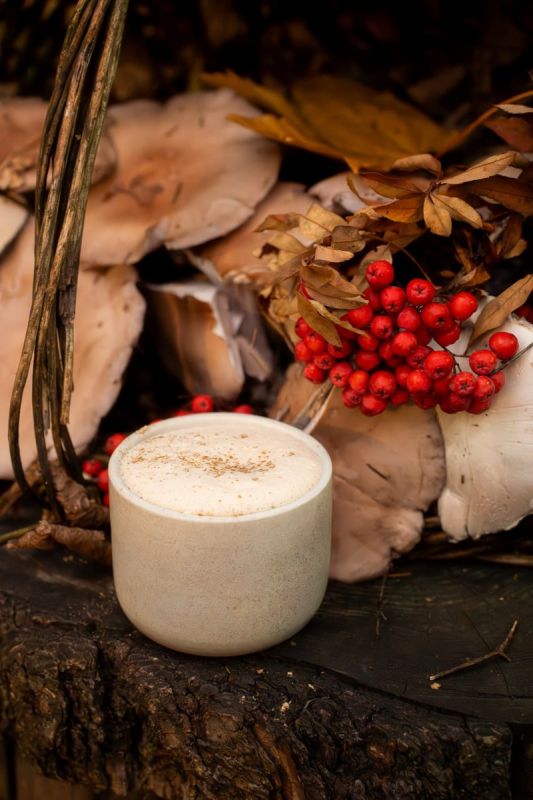 �������� ����: ��������� ������� �� ������ ������� ����