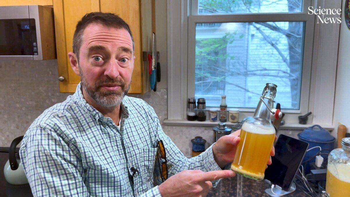 ����� ���� ��������� ����: ��������� ������� � ������� ������ ������ ����� ������� �������