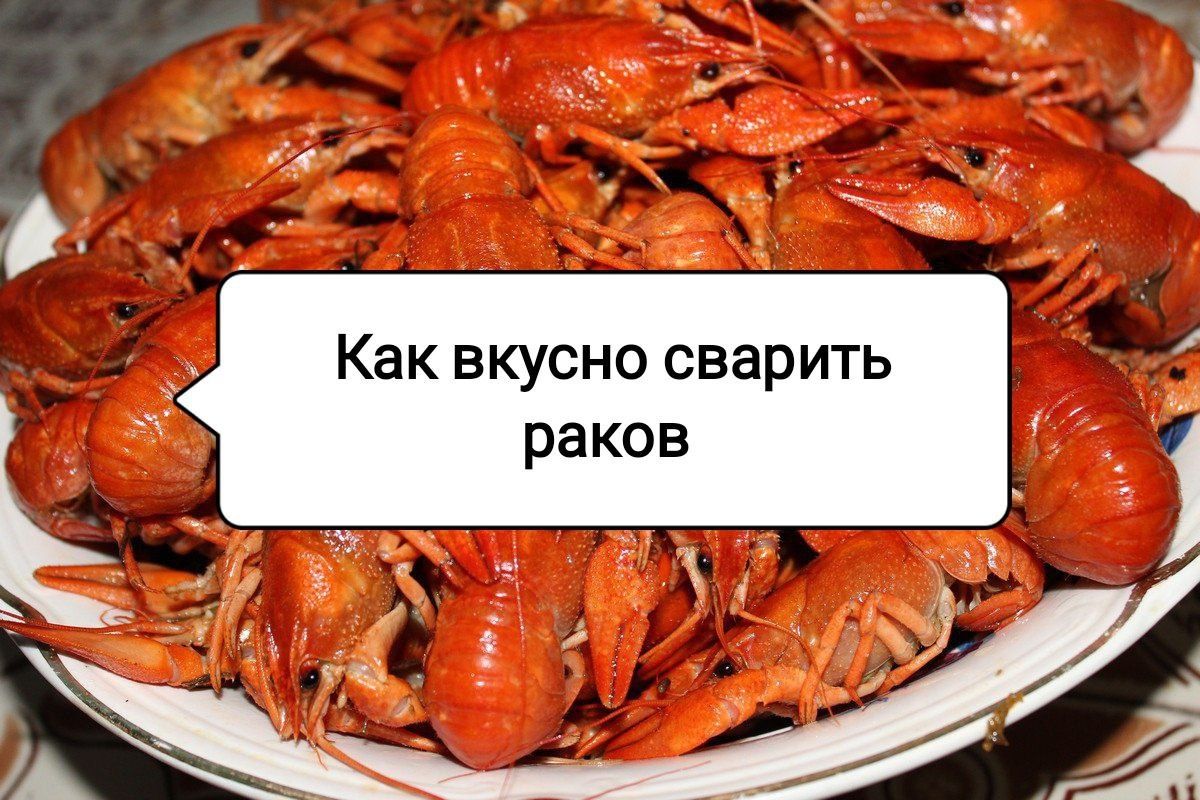 ��������� ����� �����: ������� �������� �����