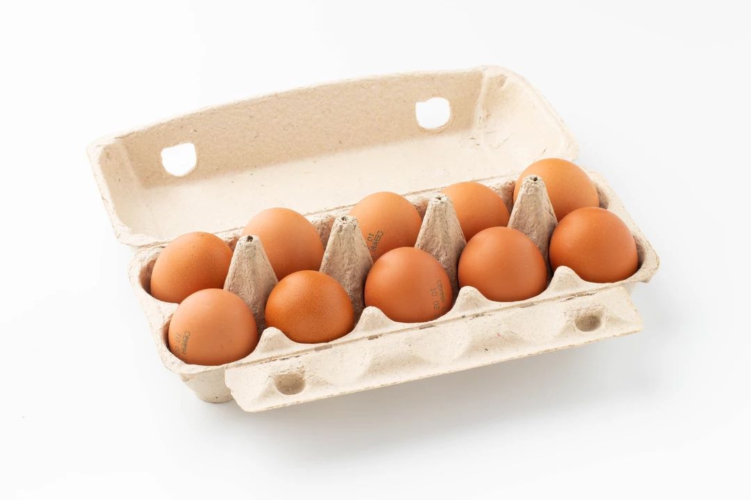 ������ ������ ���� ����� ��������: ������� ������