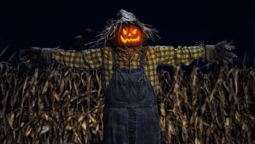 ��� ��������� ����� ������� �������� ������ �� �����