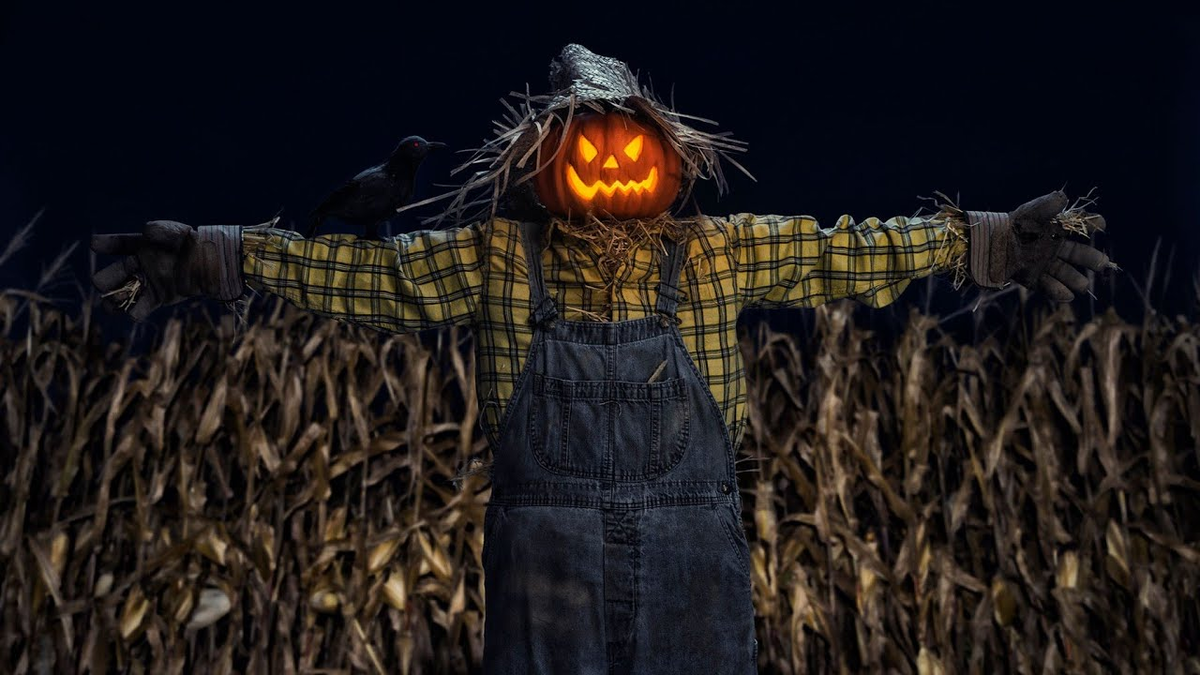 Как необычная затея помогла защитить урожай от воров