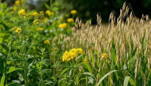 ������� ��������: ��� ������� ������ �������� ��� ��������� ����� ����� ������