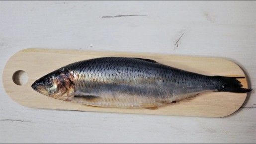 ��������� �������: ��� ������� � ���� ����� � ������