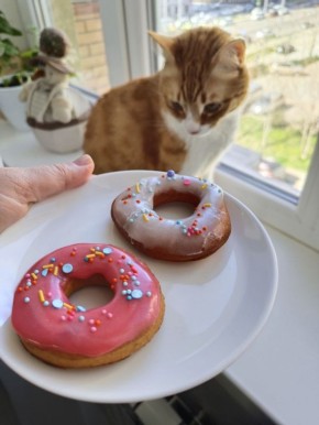 Утреннее волшебство на кухне: кот и пончики для внучки