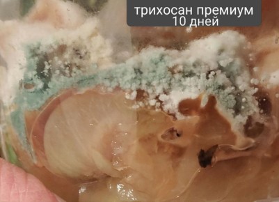 Научный прорыв: триходерма пробуждает интерес агрономов