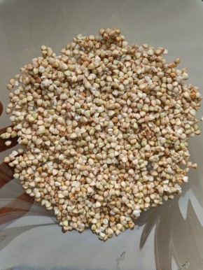 Пророщенная зелёная гречка: секреты проращивания и идеи для блюд