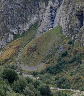 Уникальные ракурсы авокадо на Домбае привлекают внимание