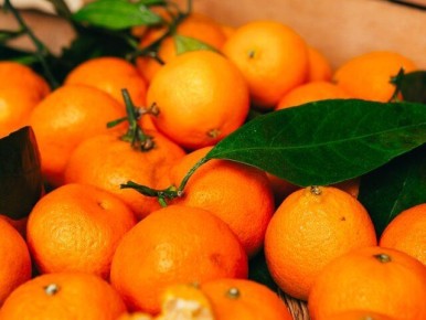 ������� ������ ��������� ����������: ��� ����� �����