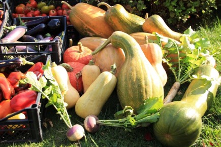 ����� ��������� '������������': ������� ����������� � ���������� �������