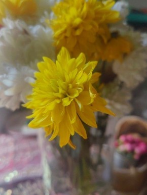 Вкусные находки и гастрономические приключения на кухне