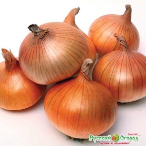 ��������, ������� ����� �� ������� � ������������: 3 ������� ����������