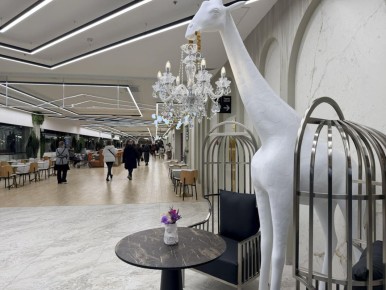 ����� ������� ������� �����: ��� ����� ����������� �� ����� � ����������� �����