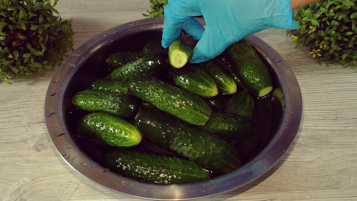 Зимние заготовки: как правильно мариновать огурцы на зиму