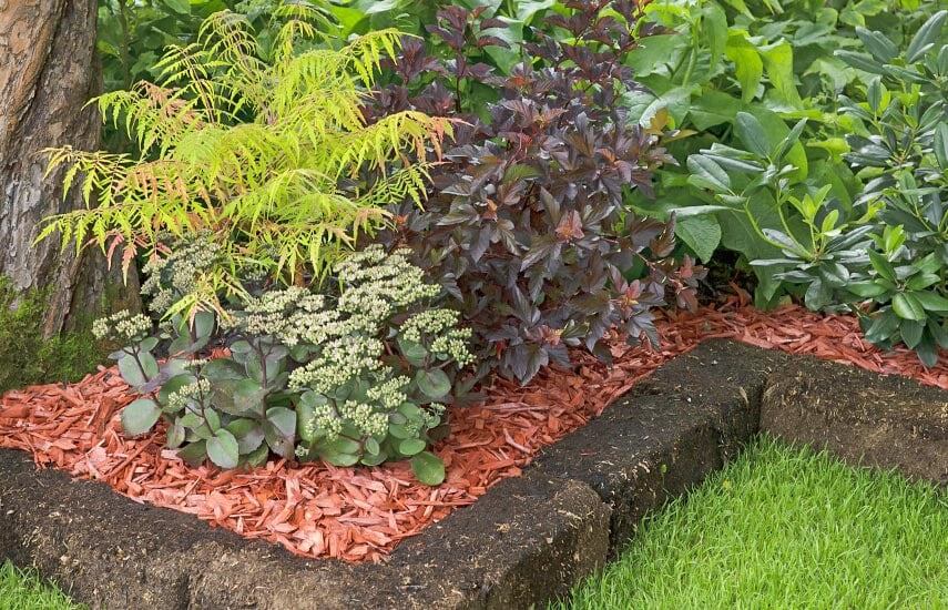 Как мульчирование помогает сократить поливы и улучшить почву