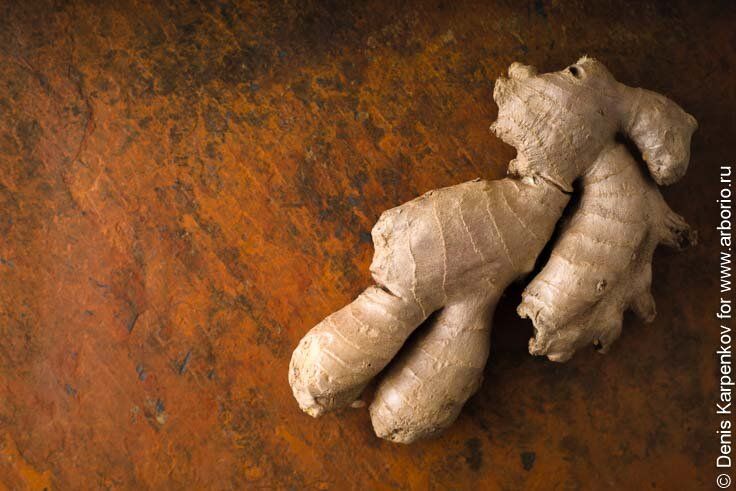 Имбирь: чудесный корень с удивительной историей и полезными свойствами