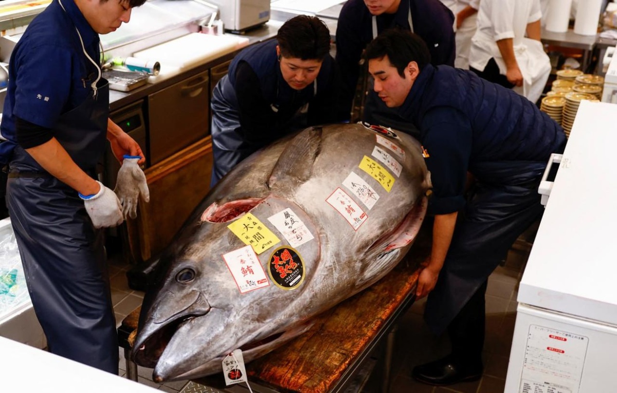 Голубой тунец в Японии установил новый рекорд на аукционе