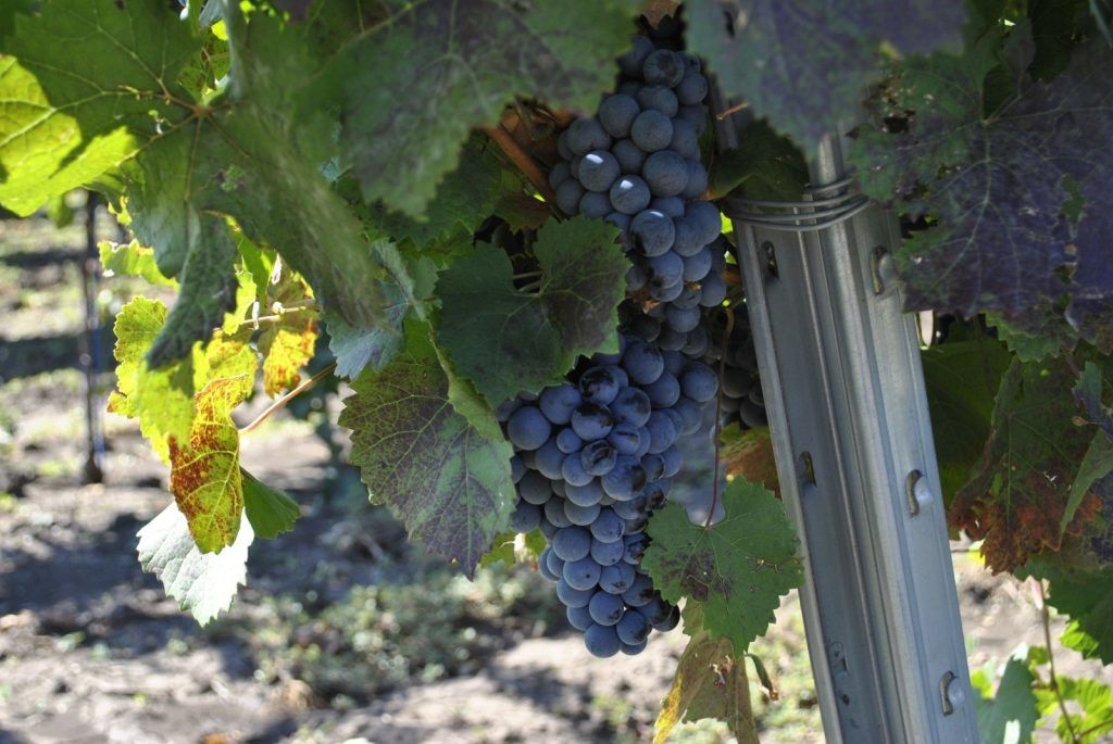 ������� ���� ��������� ��������� �� ������������� �������� � ����� ������