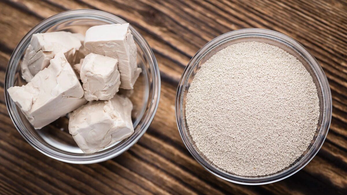 ���� ������������� �������