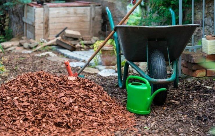 ��� ����������� ������ � ����: ������� ��������� �������������