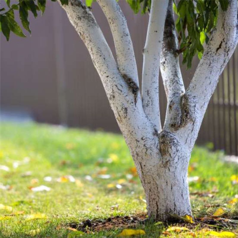 ��� ������� �������� ������� ��� ��������: ������� ���������� �������� ����