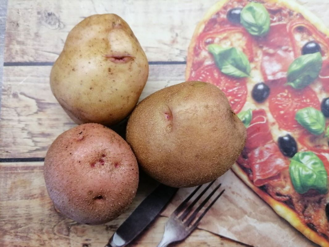 ��� ������ �������� ����� �� ���� �����: ������ ���-�������