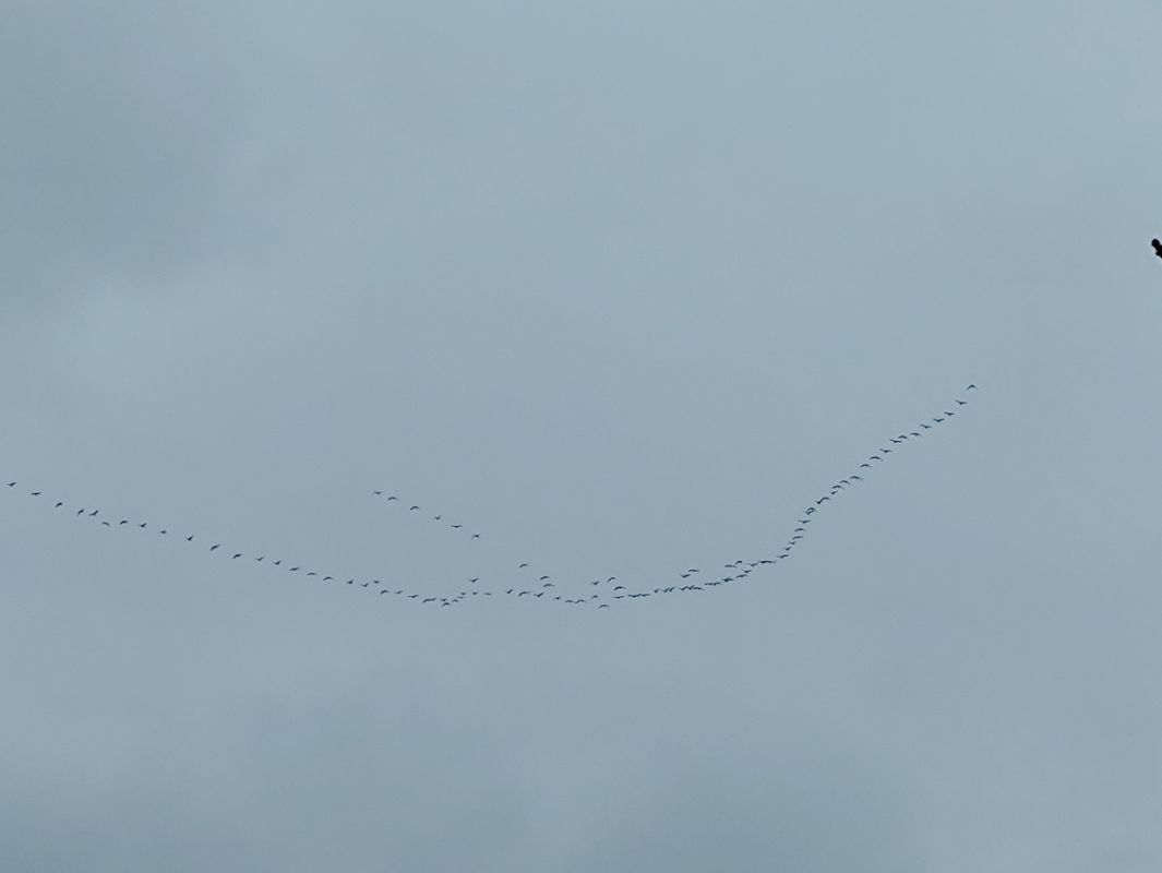 ����� ����� � ���������� �������: ���� � �������������