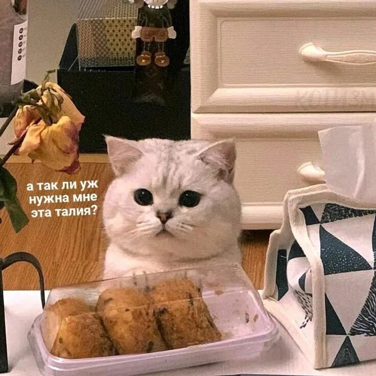 ��� ���������� � ������ ������� � ��������� ��������