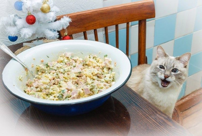 ��� ���������� ����� ����������� � ����������� ���������� �����