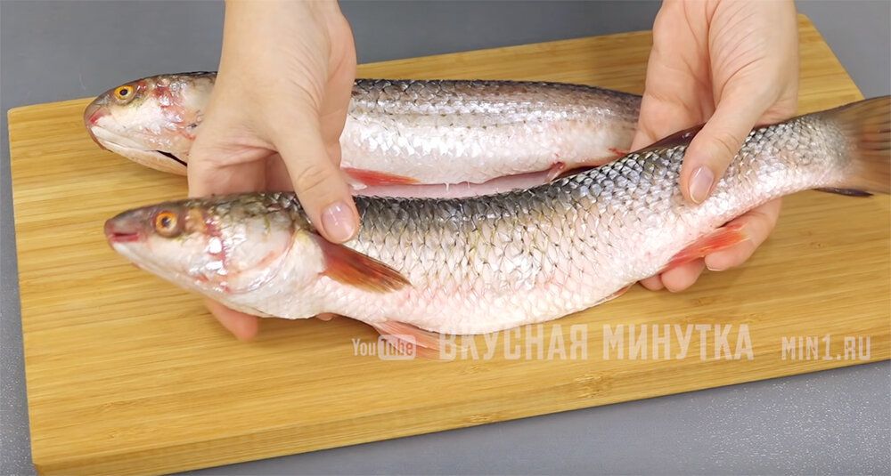 ������� ���� �� ����������� ����: ������ � ��� ������