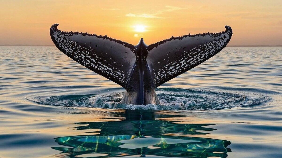 �� ������� ������� �����-������� �� 160 ��������� ������