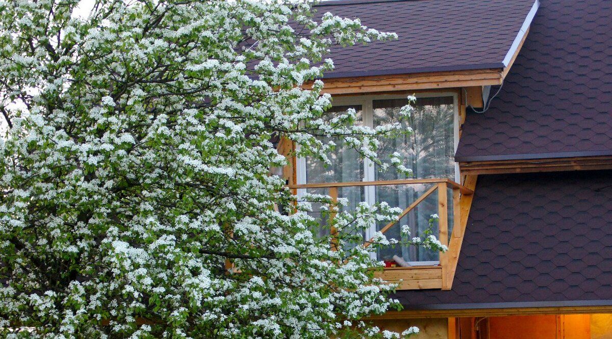 ��� �������� ������� ������ ���� �� �������