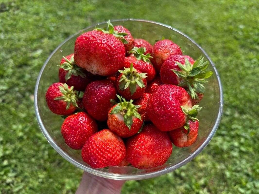 ��� ����������� �������� � ���������� ������: ������� � ����