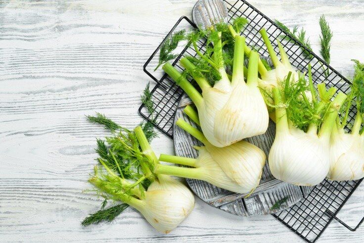 Загадочный фенхель: 10 фактов, которые вас удивят