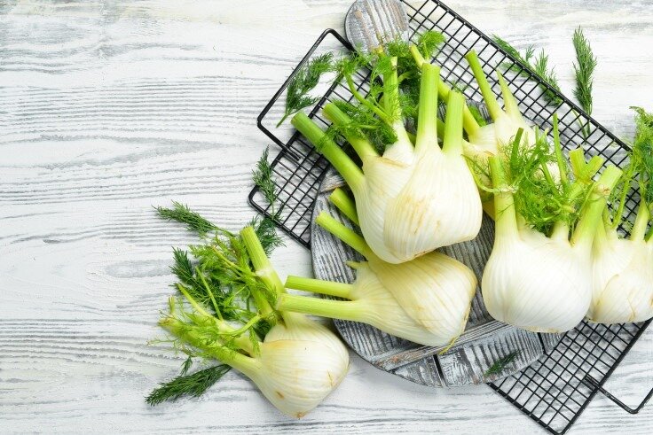 Загадочный фенхель: 10 фактов, которые вас удивят