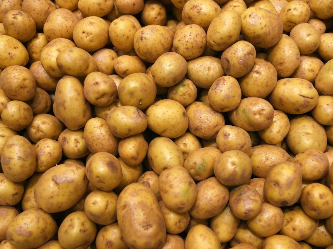 ��� �������: ����� ��� ������� ���������? ������ ��������