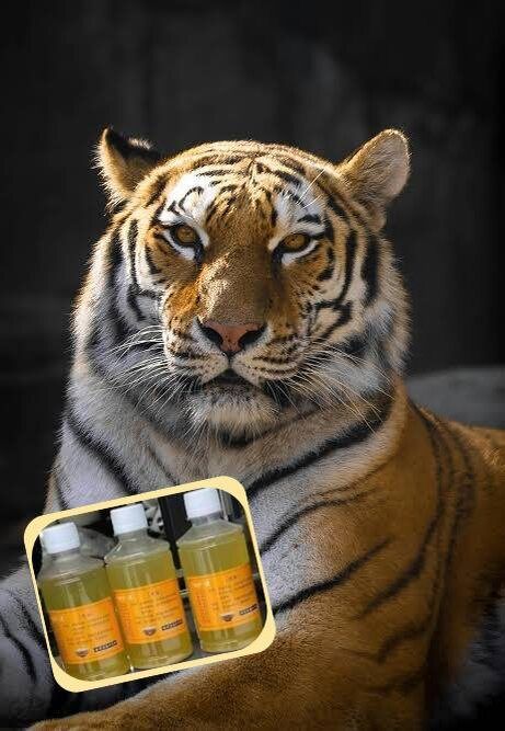 �������� ����: ������������ ������� ��� ��������� ���������?