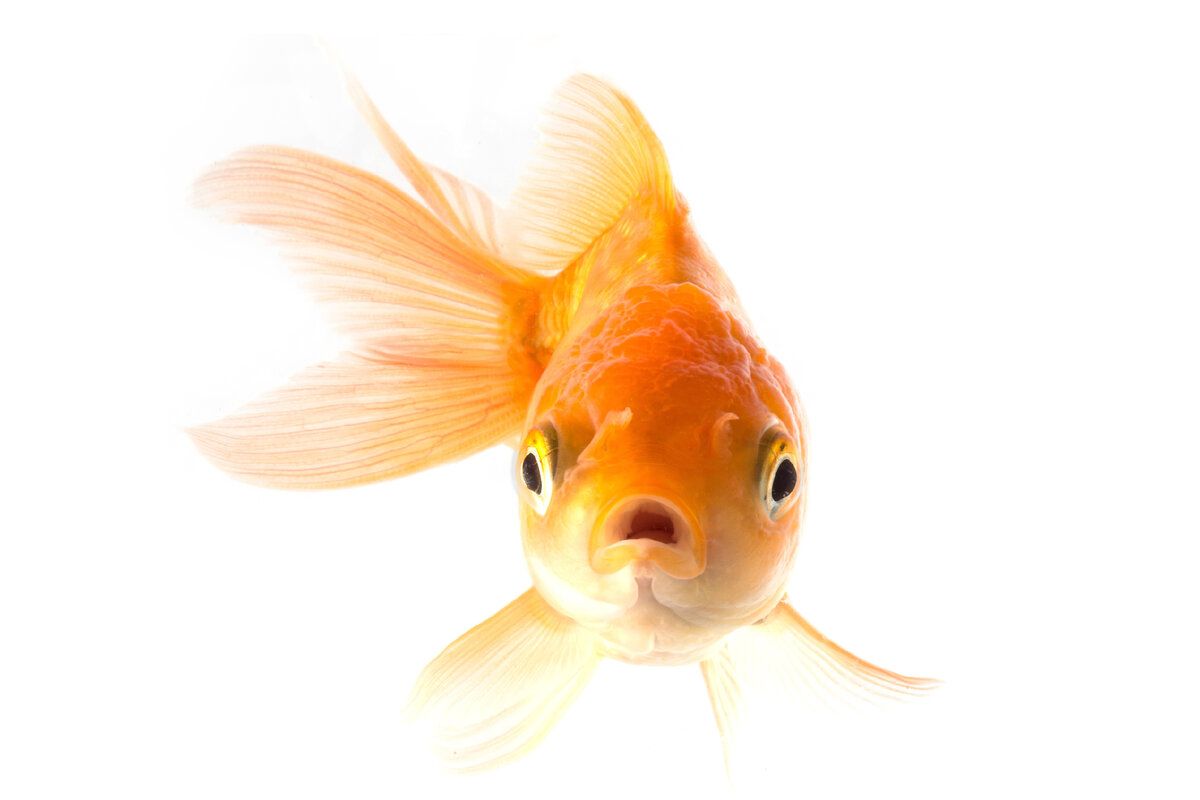 �����: ������� ��������� ��� ������ �����