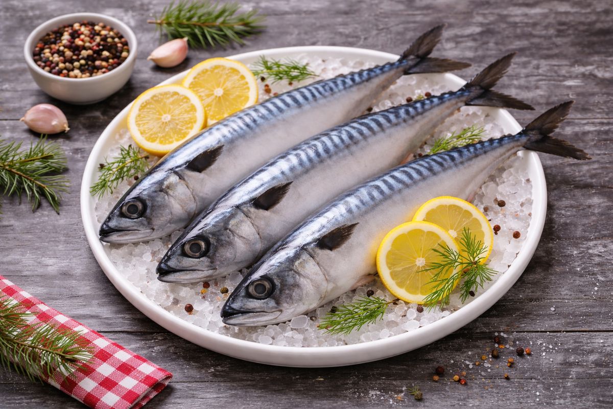 Скумбрия на праздничном столе: оригинальные рецепты от закусок до горячих блюд