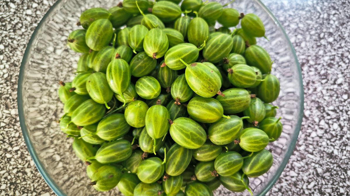 ��������� �� ����: ��������� � ������� � ������